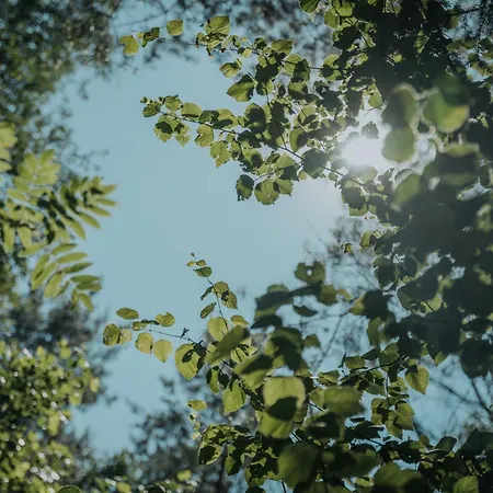 Dom wakacyjny Forest - 50min Od Warszawy Wola Polska