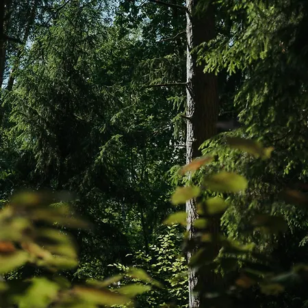 Dom wakacyjny Forest - 50min Od Warszawy Wola Polska