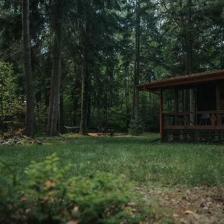 Forest - 50min Od Warszawy Dom wakacyjny *
