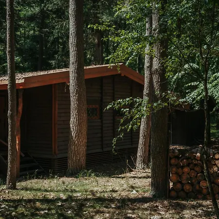 Forest - 50min Od Warszawy