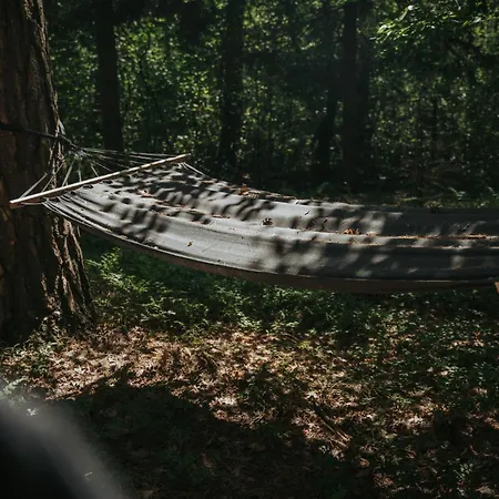 Forest - 50min Od Warszawy بيت للعطل