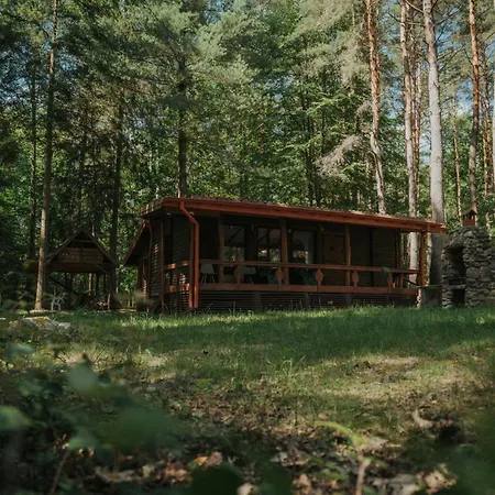 Forest - 50min Od Warszawy Wola Polska