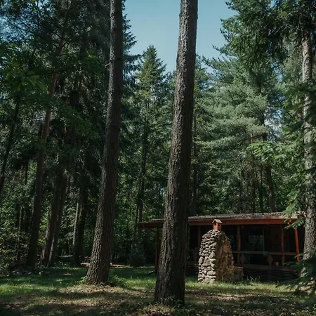 Forest - 50min Od Warszawy Wola Polska