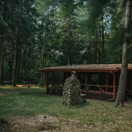 Forest - 50min Od Warszawy