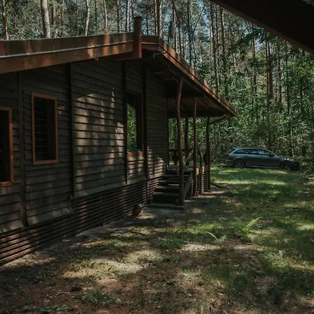 Forest - 50min Od Warszawy