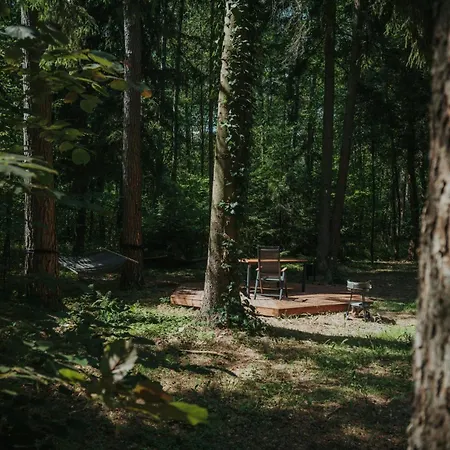Forest - 50min Od Warszawy 度假居