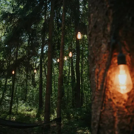 Forest - 50min Od Warszawy 度假居