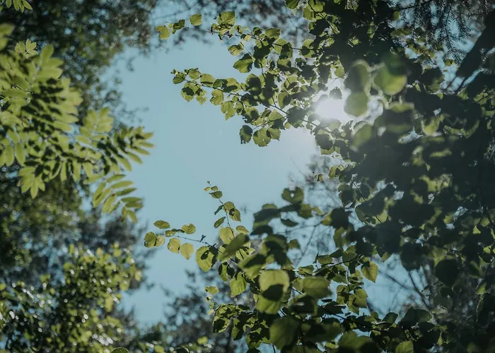 Holiday home Forest - 50min Od Warszawy Wola Polska