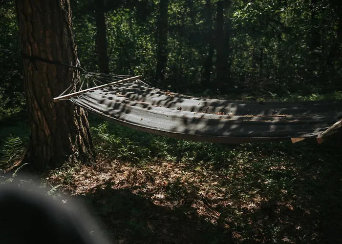 Forest - 50min Od Warszawy Holiday home