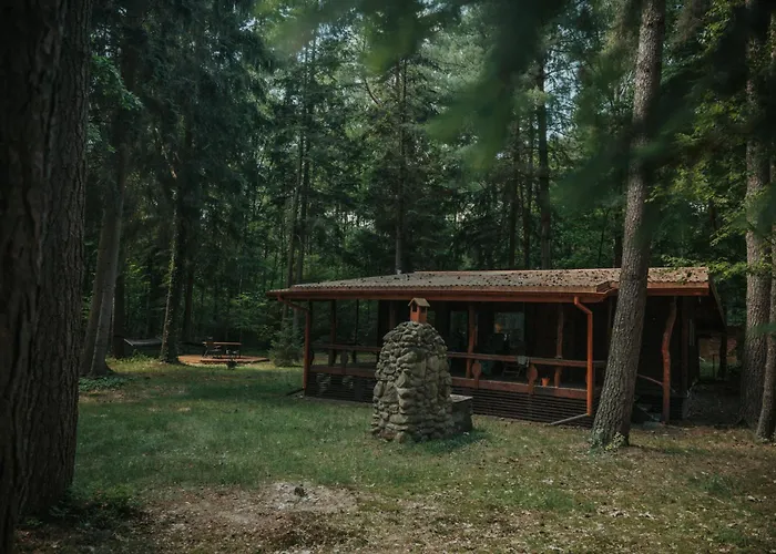 Forest - 50min Od Warszawy