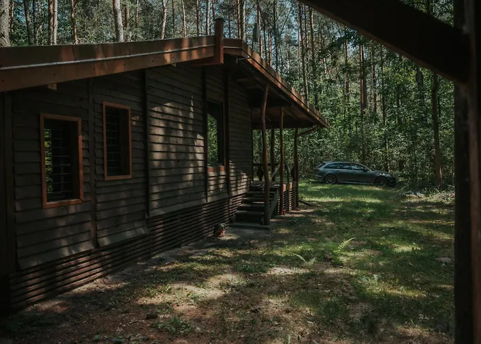 Forest - 50min Od Warszawy