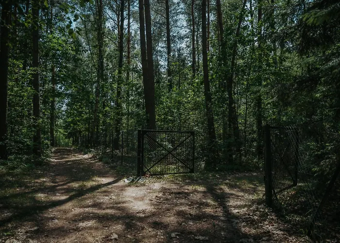 Forest - 50min Od Warszawy Holiday home Wola Polska
